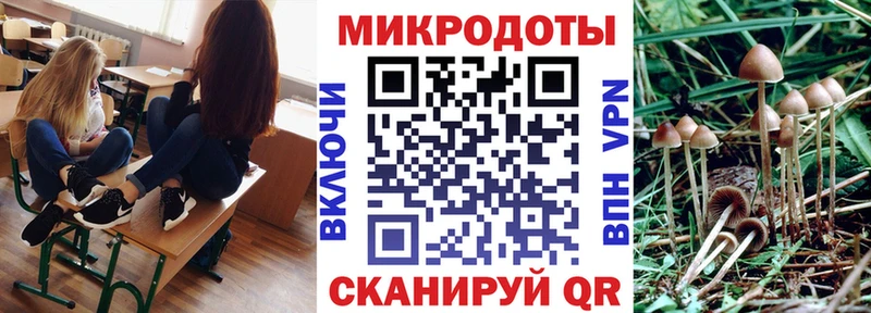 даркнет как зайти Гай Псилоцибиновые грибы MAGIC MUSHROOMS