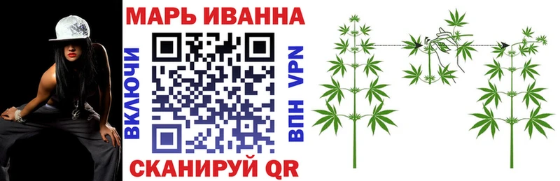 Канабис конопля Гай