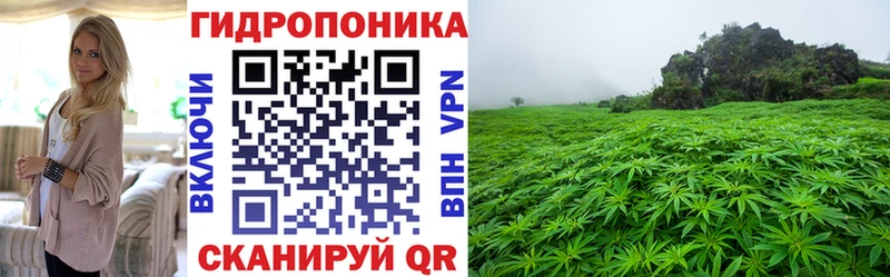 Бошки Шишки Ganja  darknet официальный сайт  Гай 